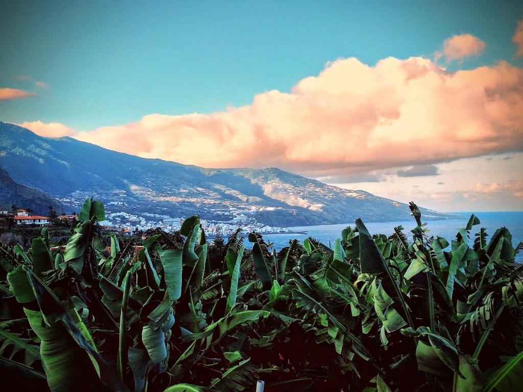 La Palma mountains and banana trails