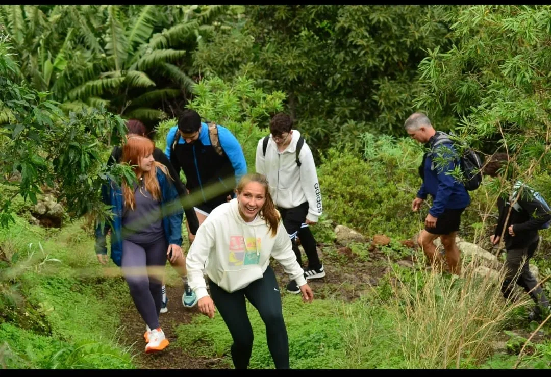 La Palma location 11