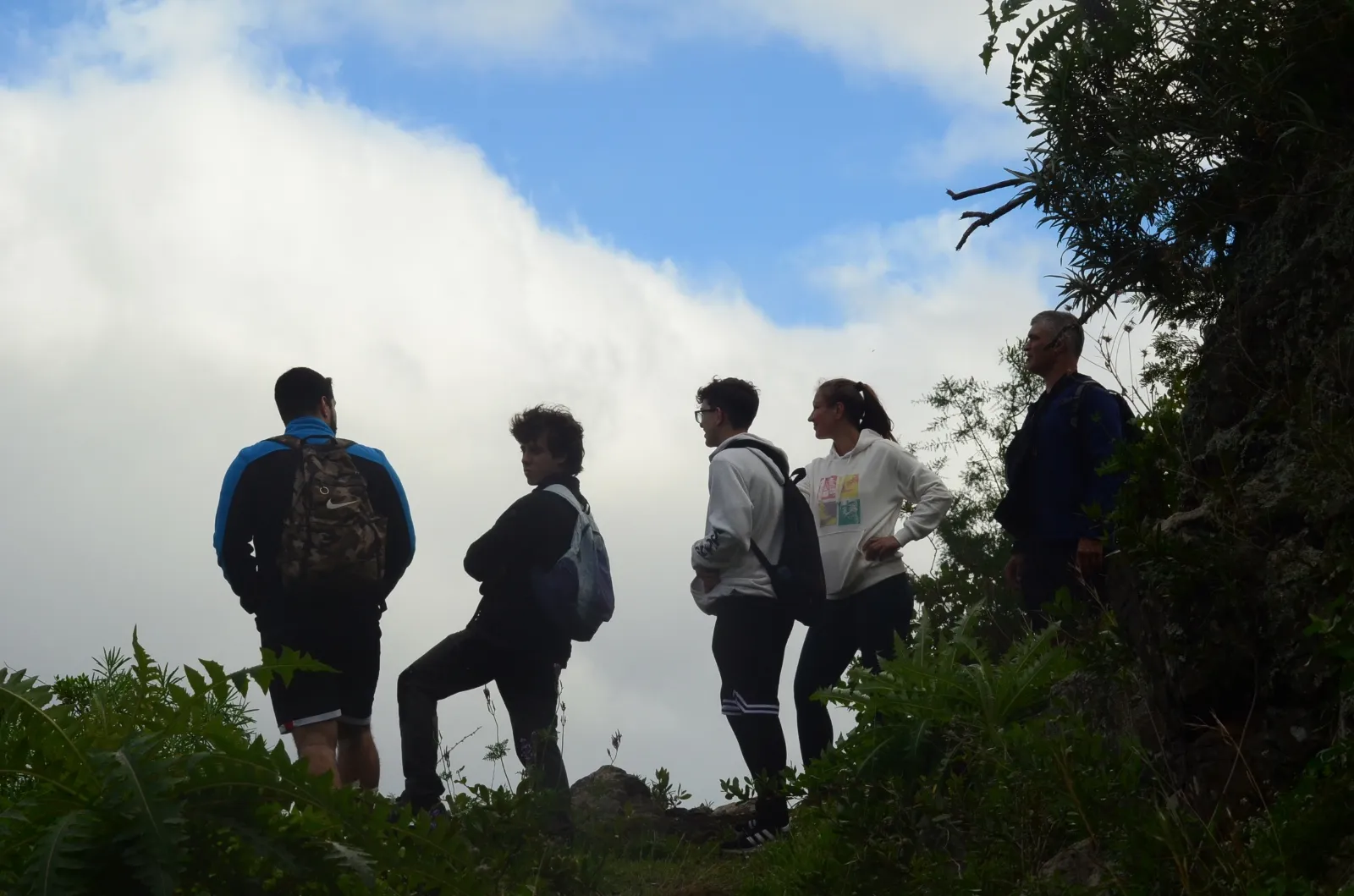 La Palma location 16