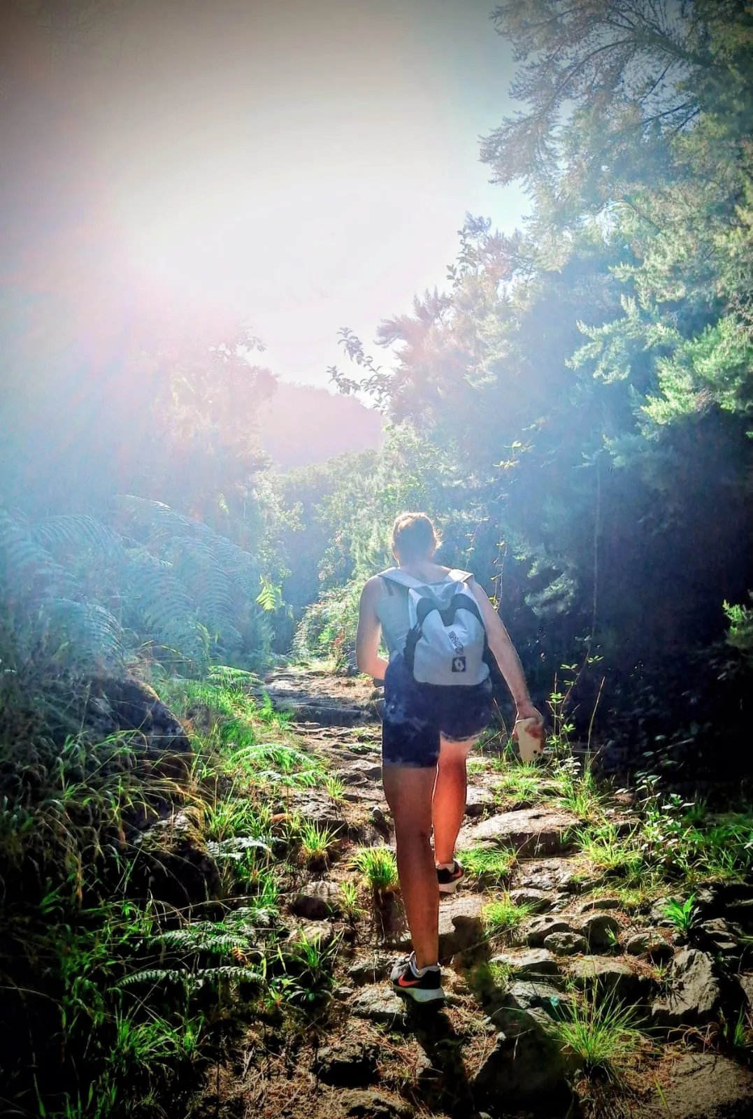 Hiking through nature